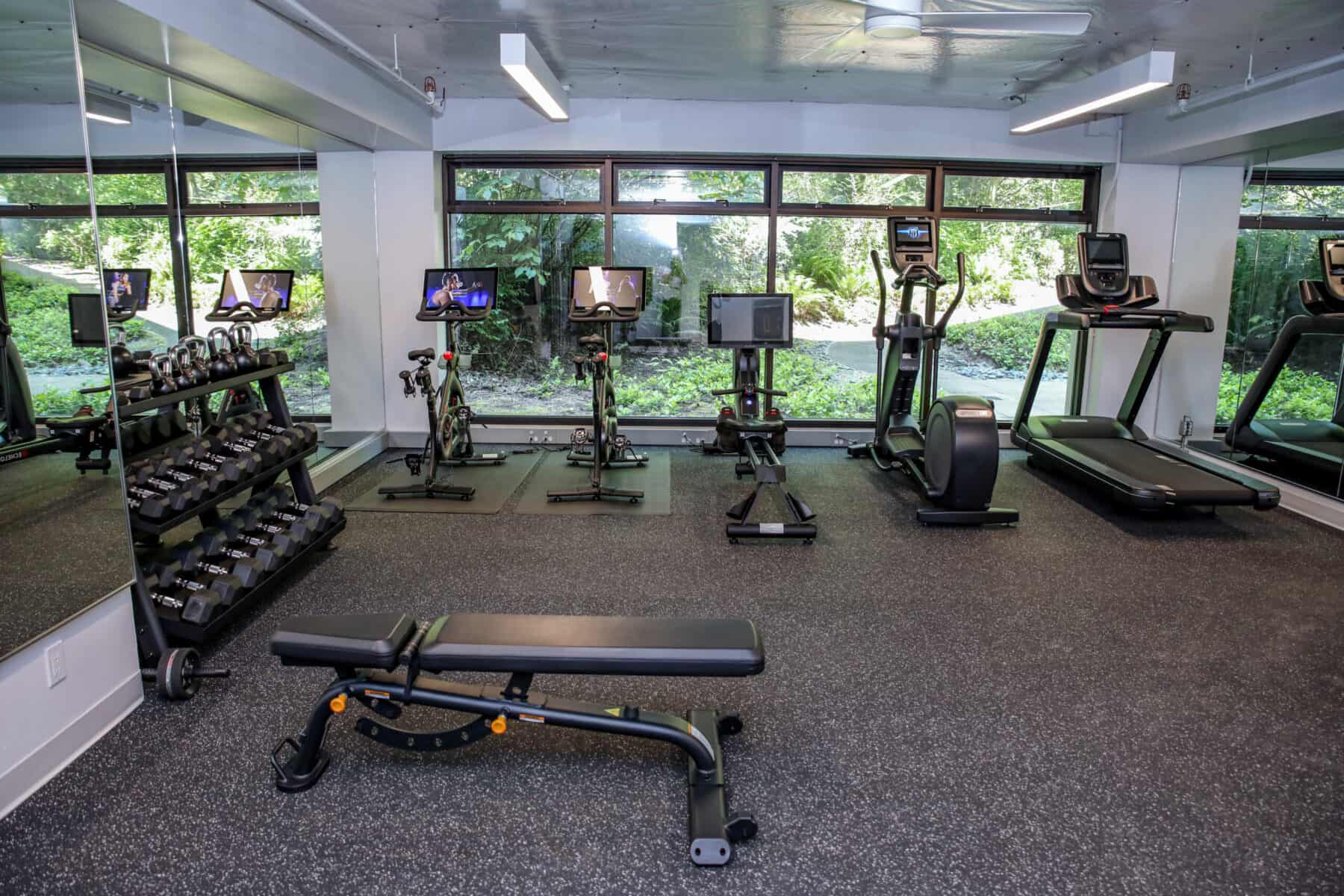 صحیح کارڈیو آلات کا انتخاب کیسے کریں؟