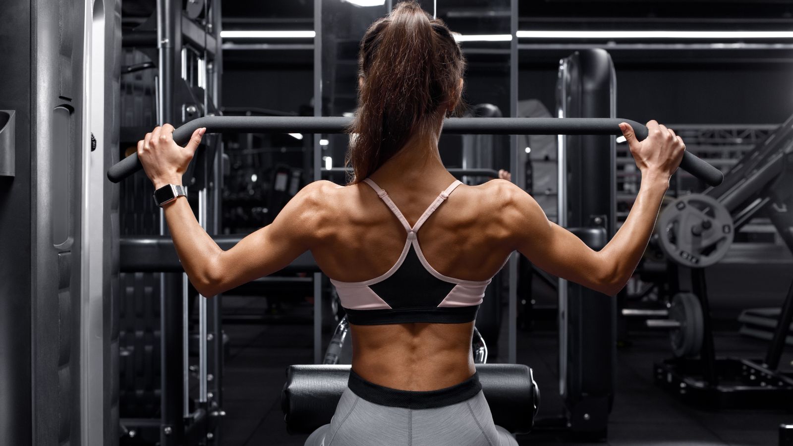 تندرستی کے سازوسامان کے استعمال کی گائیڈ - پیچھے کا تربیتی ایڈیشن
