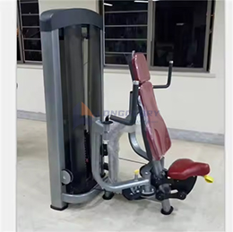 pectoral فلائی جم مشین